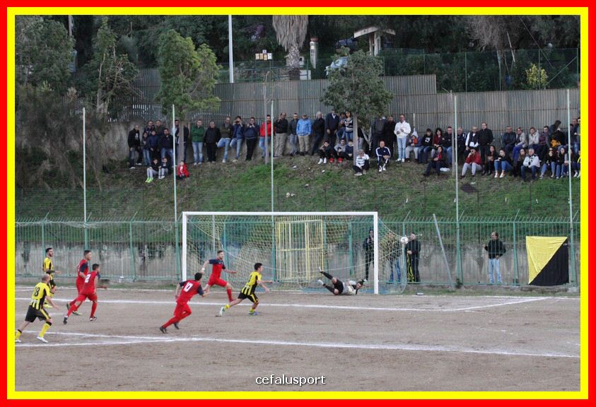181111 Cepha_Milazzo 284_tn.JPG